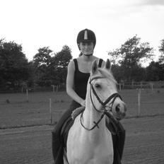 Anden særlig race Tristan Silverboy