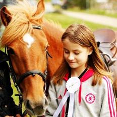 Anden særlig race Alie (HVR Rideskolepony) [Rider]