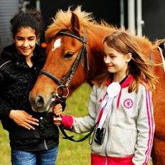 Anden særlig race Alie (HVR Rideskolepony) [Rider]