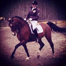 Anden særlig race James