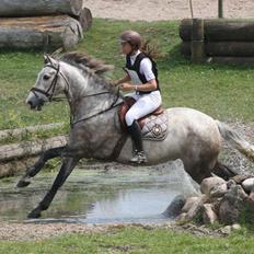 Pura Raza Española Campanero *Æseløre*