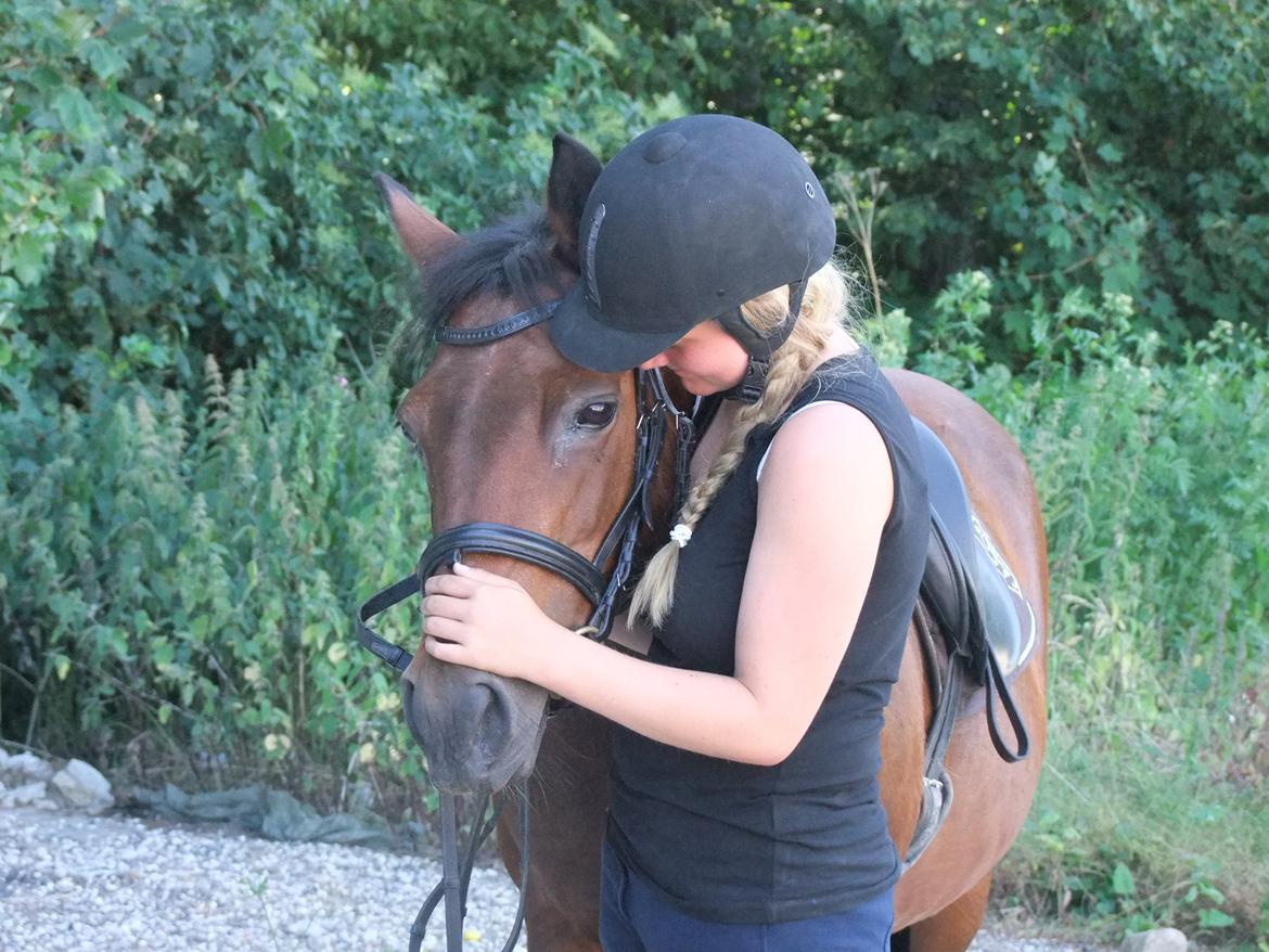 New Forest Cayenne  - My best friend!<3 billede 16