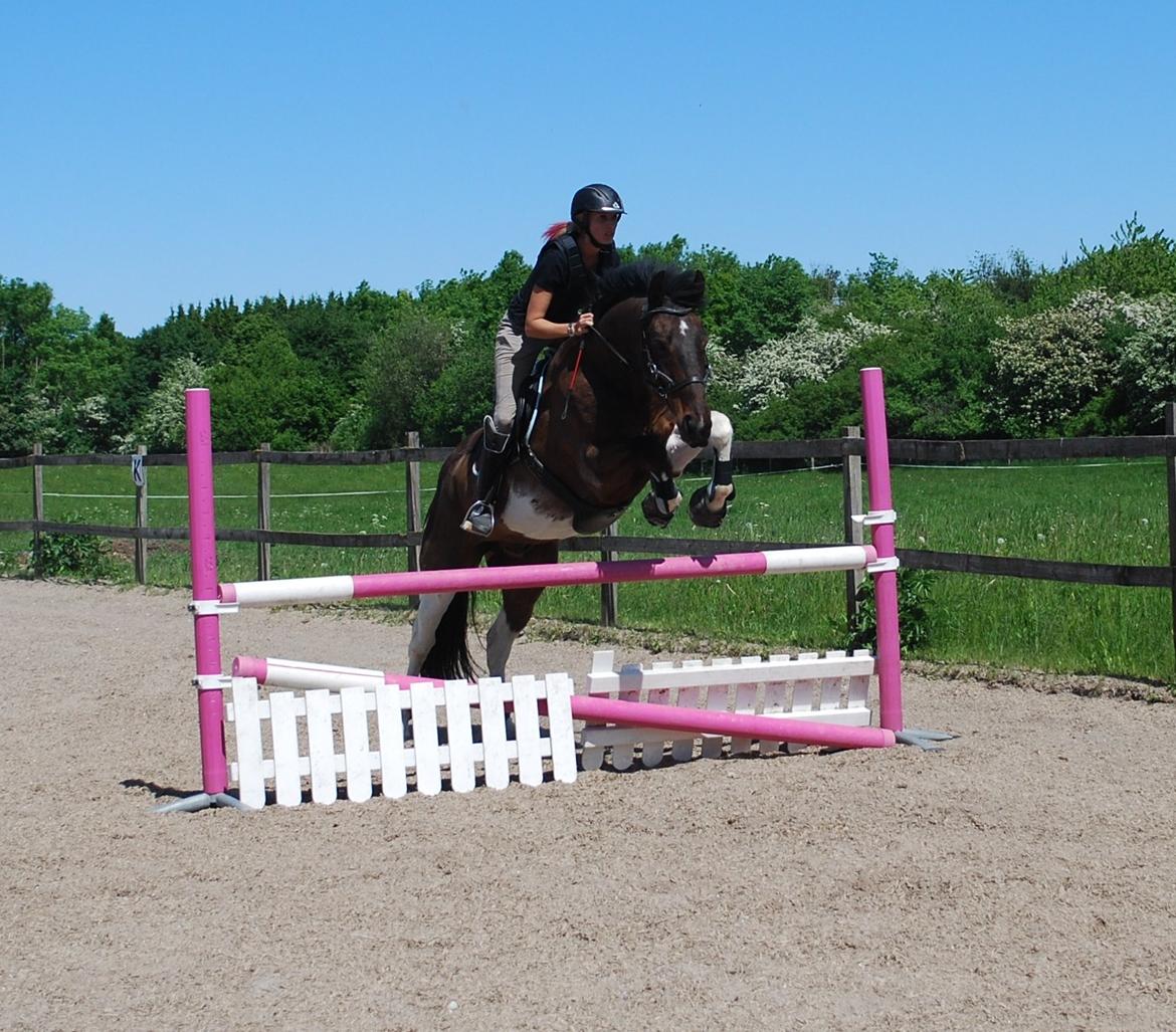 Paint Cutters Magic Colours billede 20