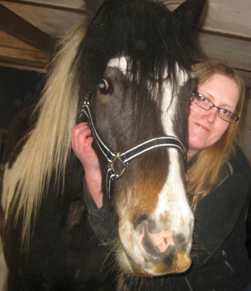 Irish Cob Crossbreed Chano - Louise & Chano billede 2