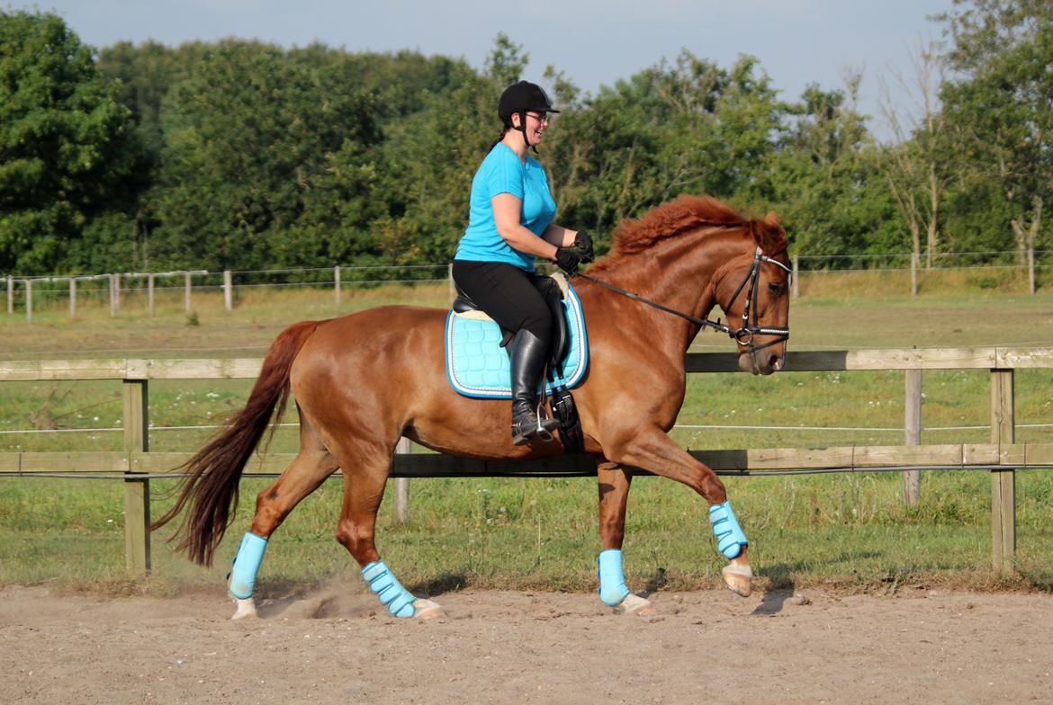 Anden særlig race Athene (SOLGT) - Lækker galop på den skønne dame :) billede 17
