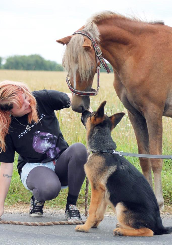 Anden særlig race Gry Soleil [Himmelhest] - En af de første gåture med hende. billede 5