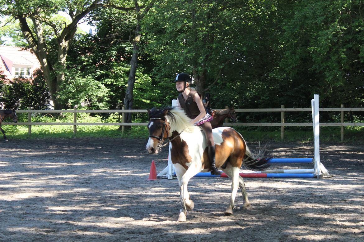 Anden særlig race Jack (savnet) - verden's bedste pony :') billede 1