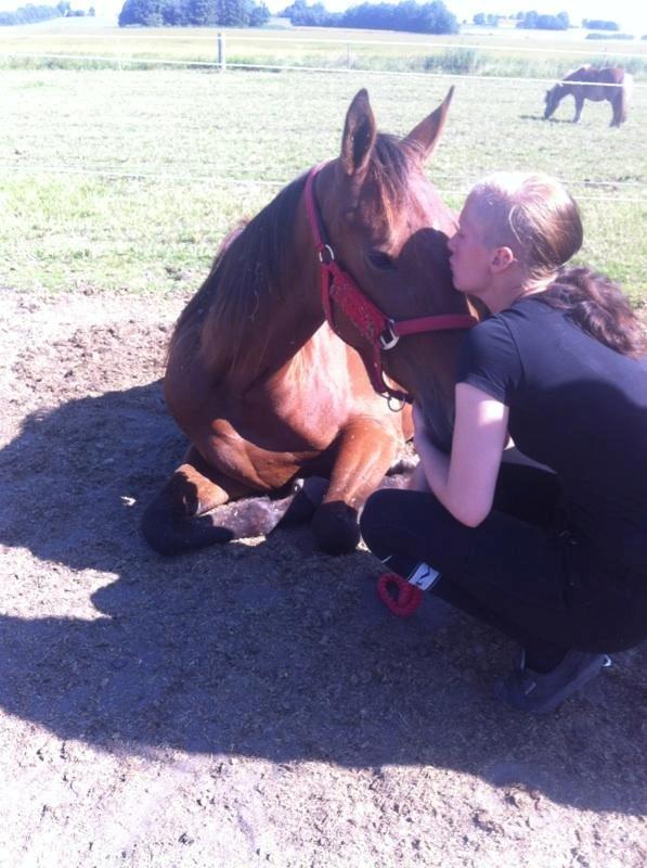 Traver Swept To Klindtholm billede 11