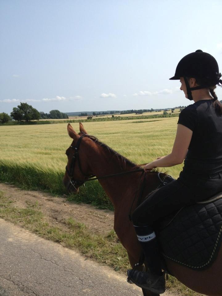 Traver Swept To Klindtholm - På tur første gang med rytter :) billede 16