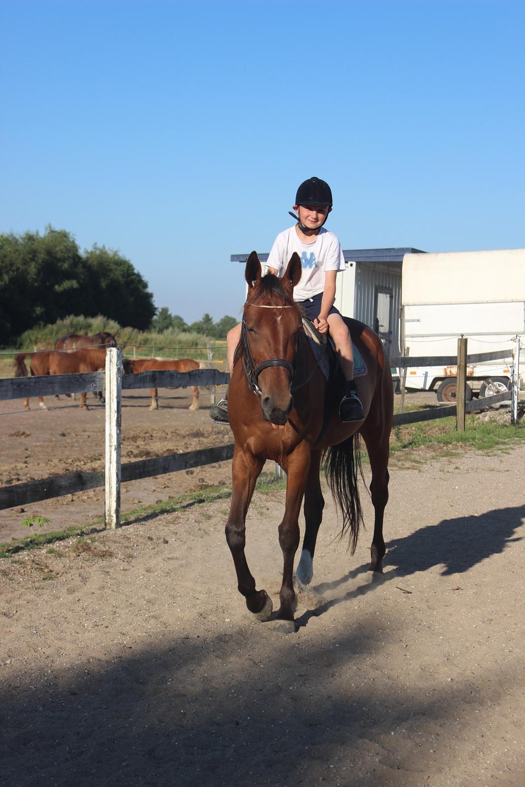 Traver Swept To Klindtholm - Sweppi tager virkelig alt rolig ;D her med min bonuslillebror på 8 år ;D 7 gang Sweppi har rytter på :) billede 12