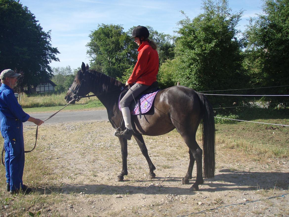 New Forest Hamborgs Jacaranda - 3. gang med rytter på og vi er på vej ud for at gå tur. billede 8