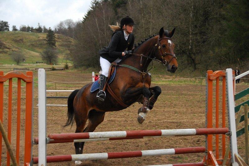 Dansk Varmblod HÉKATE - Første stævne på prinsessen, CNC80 i Langå 2012 :) Foto: Tage Danielsen billede 20