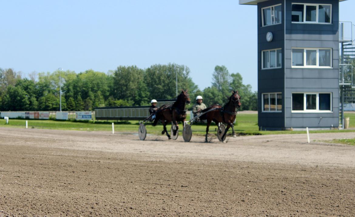 Traver Odin Toft billede 3