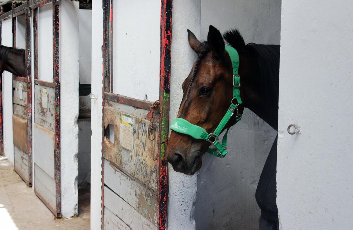 Traver Odin Toft - KUK KUK..  
Velkommen til min profil! billede 1