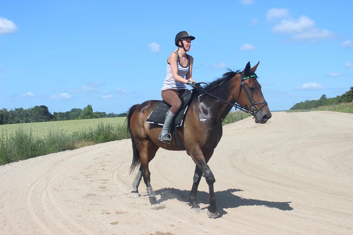 Traver Odin Toft billede 8