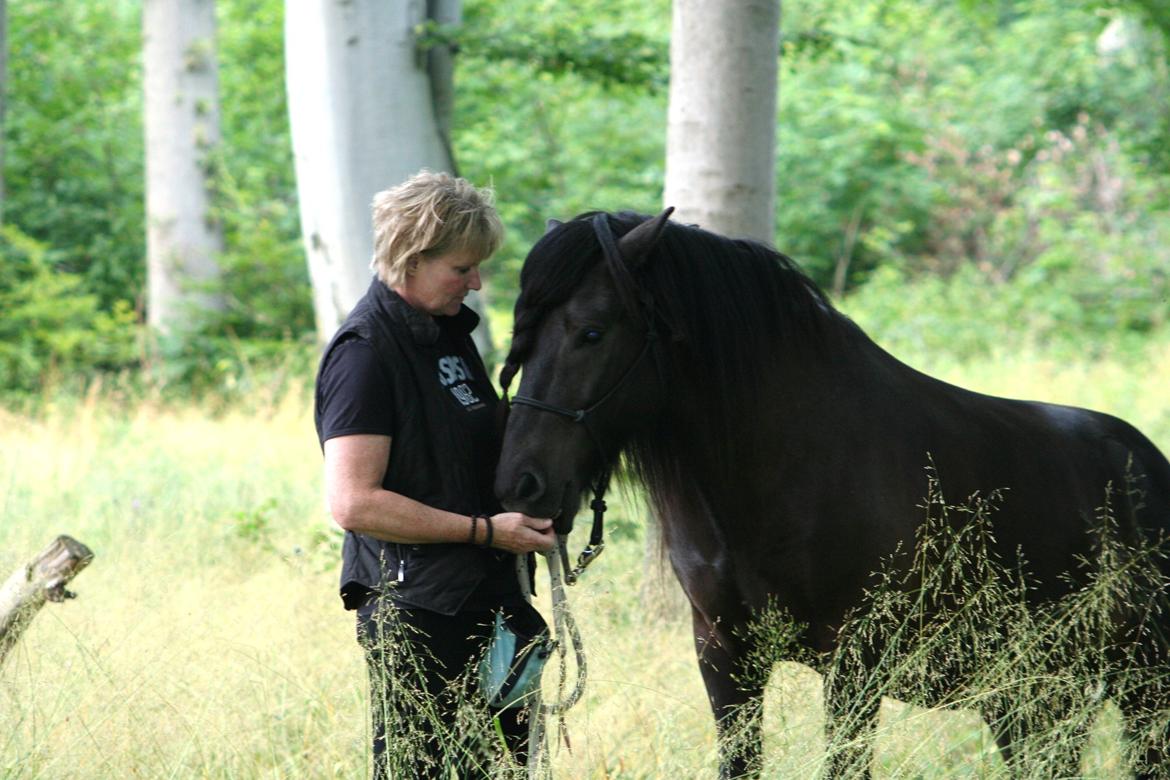 Islænder Grani fra Rimmensgaard billede 1