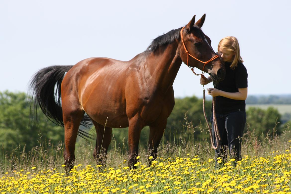 Anden særlig race Stald Birkelys Issebelle billede 24
