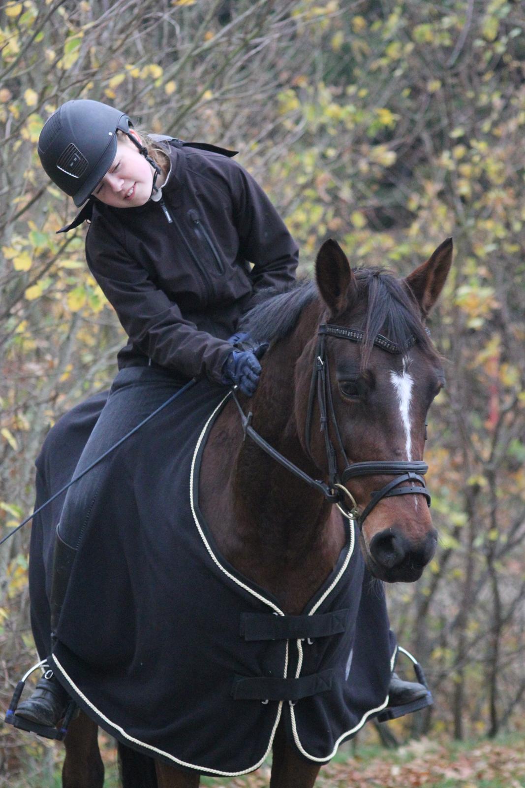 Anden særlig race Stald Birkelys Issebelle billede 45