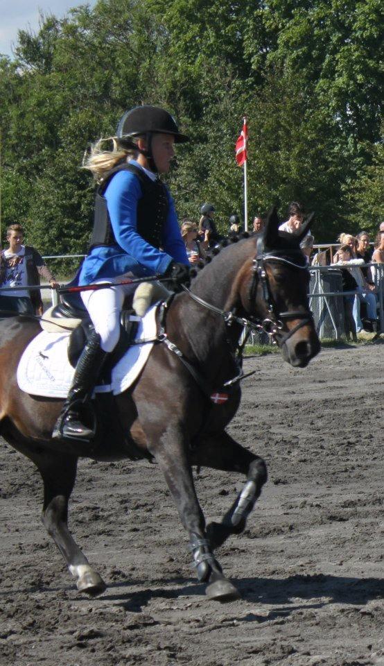 Anden særlig race AGGERHOLM'S LA FAYETTE - DM Vilhelmsborg 2012 billede 5