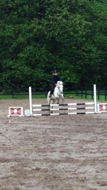 Anden særlig race Ronja  - 75 cm. springstævne på NSR.  billede 18