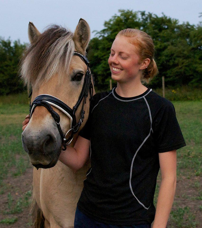 Fjordhest Nikolaj (Niko) - Min elskede lille hest! <3 billede 1