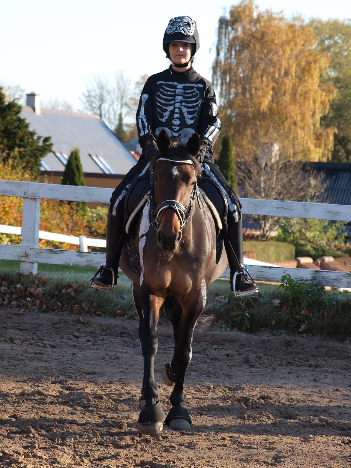 Traver Ghost Win (US) - Ghost til halloween dressurstævne i 2012 - begge klædt ud som skeletter :D billede 10