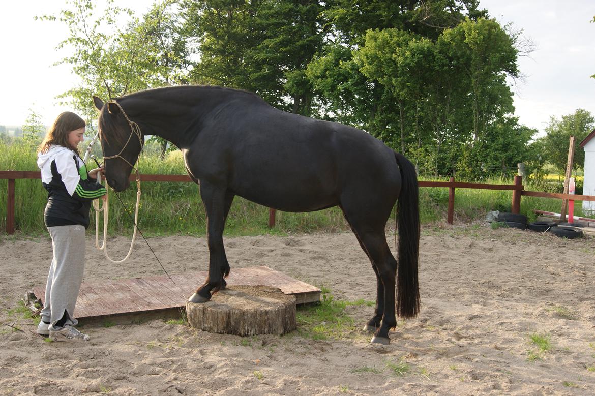 Oldenborg Celine Borrebjerg billede 3