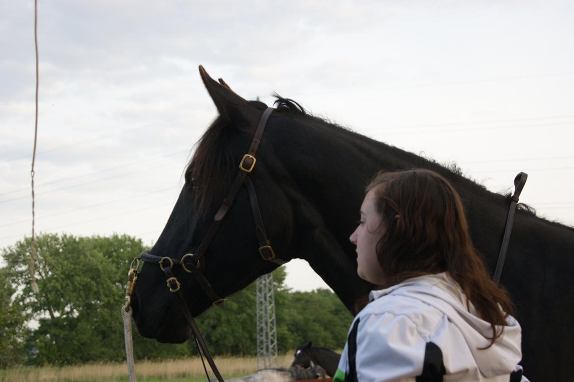 Oldenborg Celine Borrebjerg billede 5