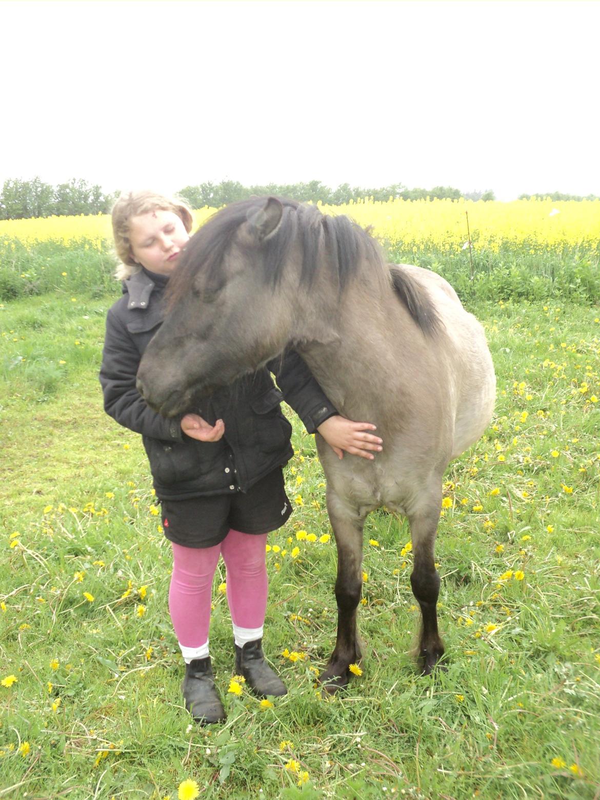 Anden særlig race Molly billede 2