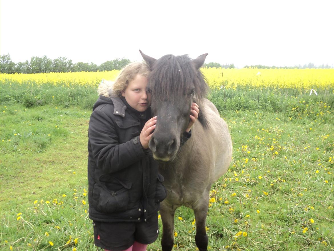 Anden særlig race Molly billede 4