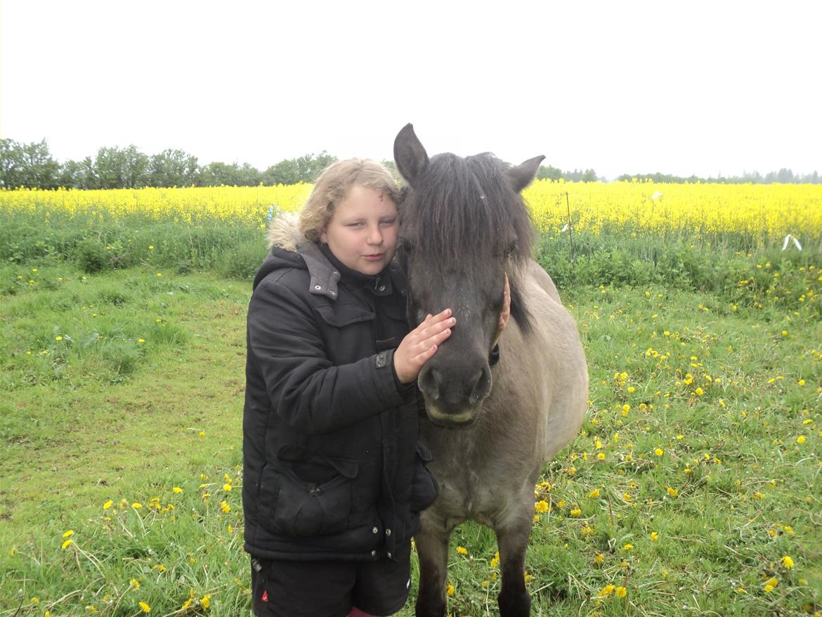 Anden særlig race Molly billede 6