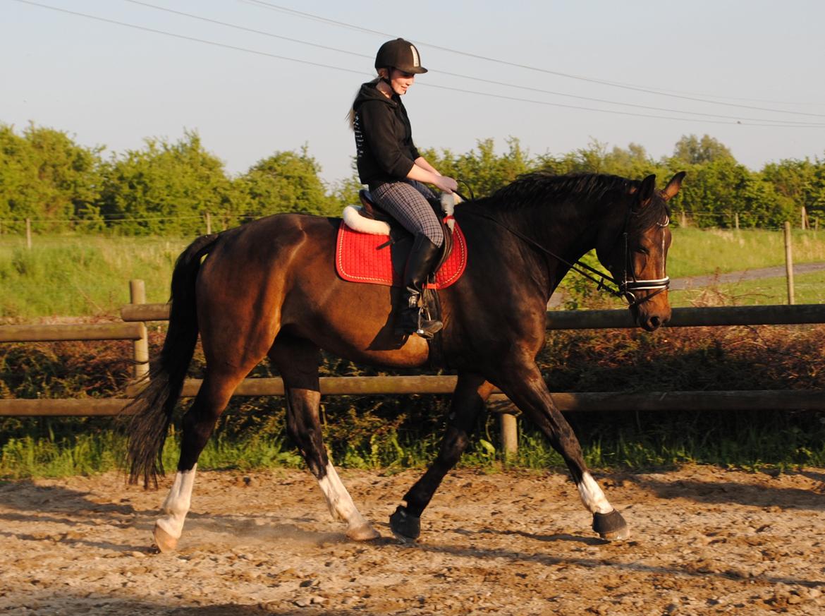 Mecklenburger Dunlop billede 2