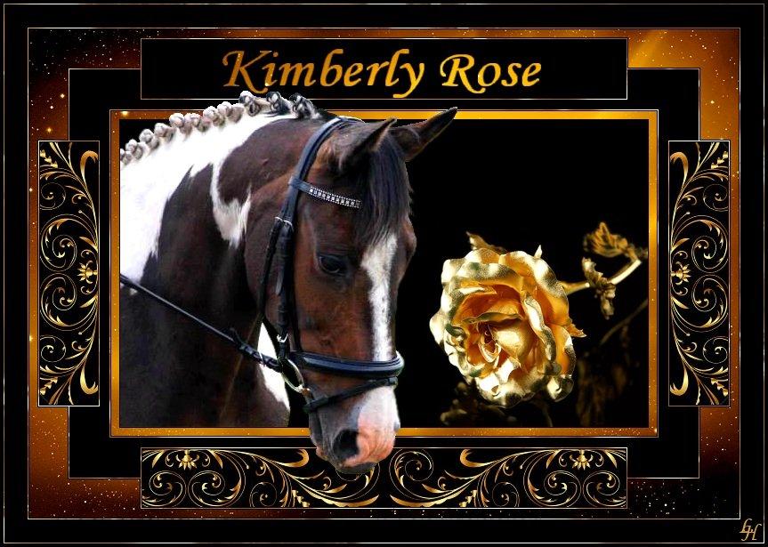 Pinto Kimberly Rose billede 9