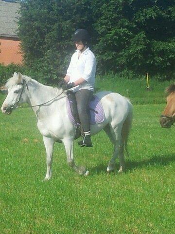 Anden særlig race Candy billede 9