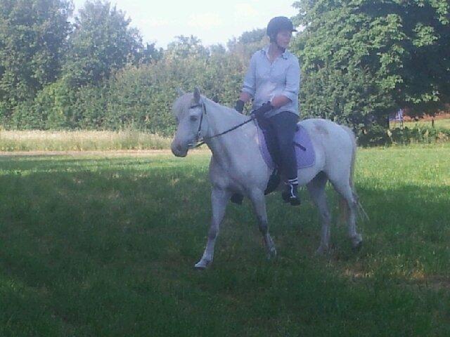 Anden særlig race Candy billede 11