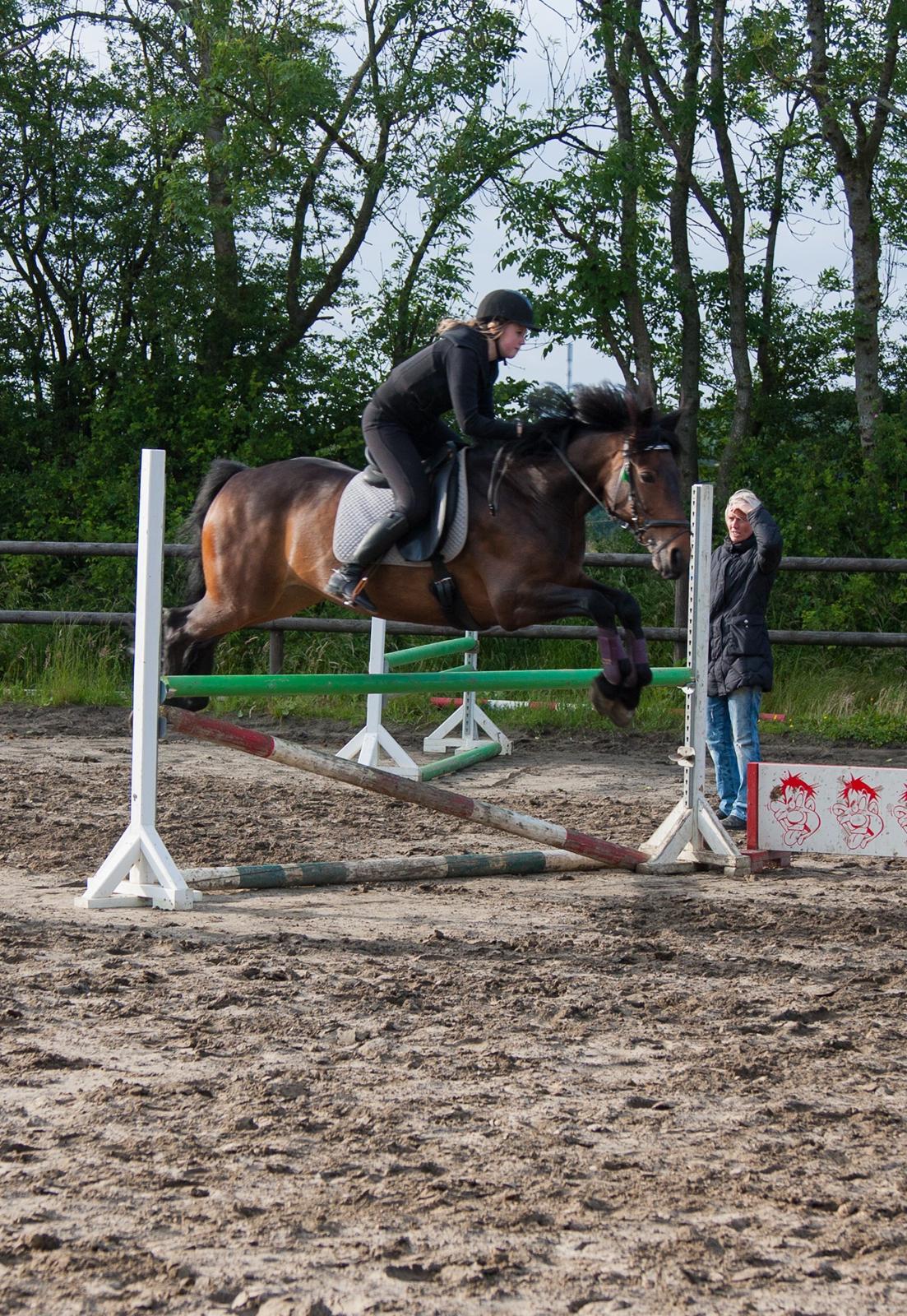 Anden særlig race Dalby's Lotte billede 10