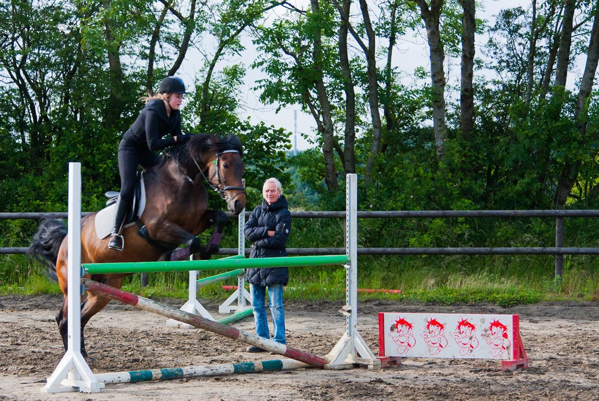 Anden særlig race Dalby's Lotte billede 11