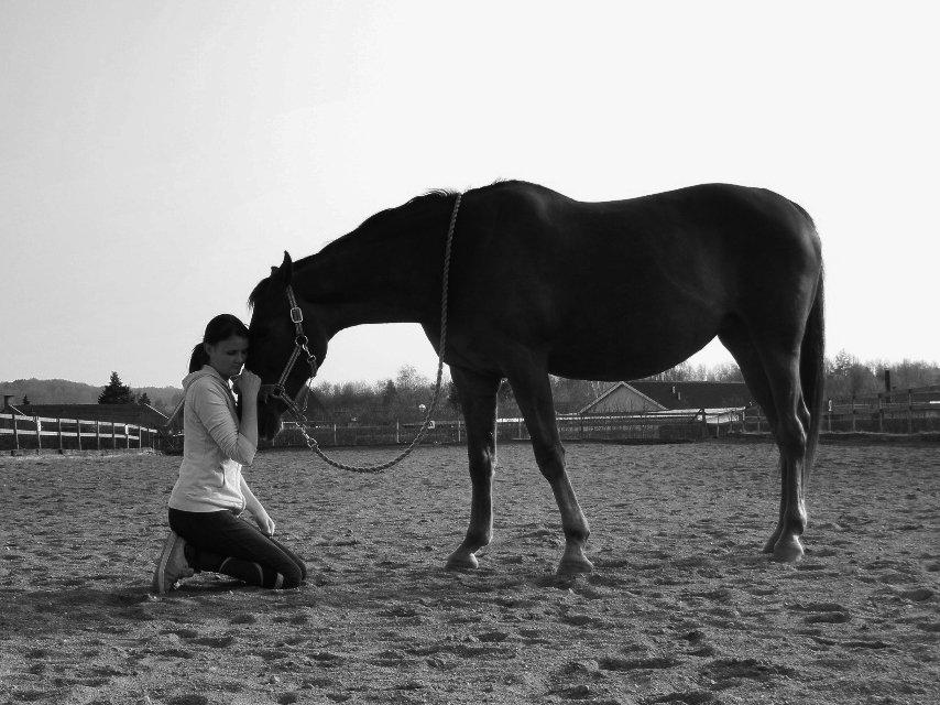 Dansk Varmblod Bæk's Florence  ~ Soulmate ~  R.I.P d. 23/01-201 - The best and most beautiful things in the world can not be seen or touched. It must be felt with the heart billede 12