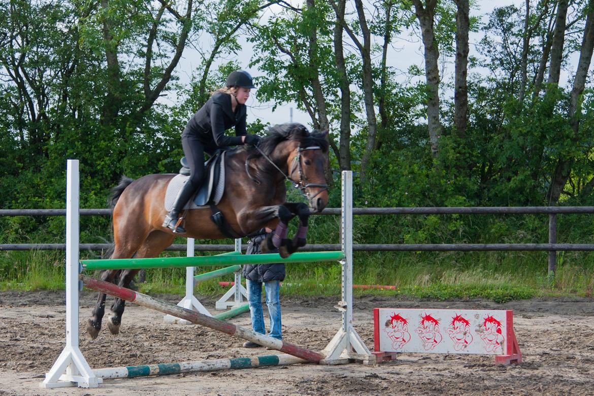 Anden særlig race Dalby's Lotte billede 12