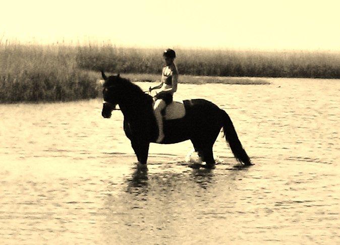 Oldenborg Felix - 18/6-13 - Ude og bade Foto: Vera Dörge billede 11