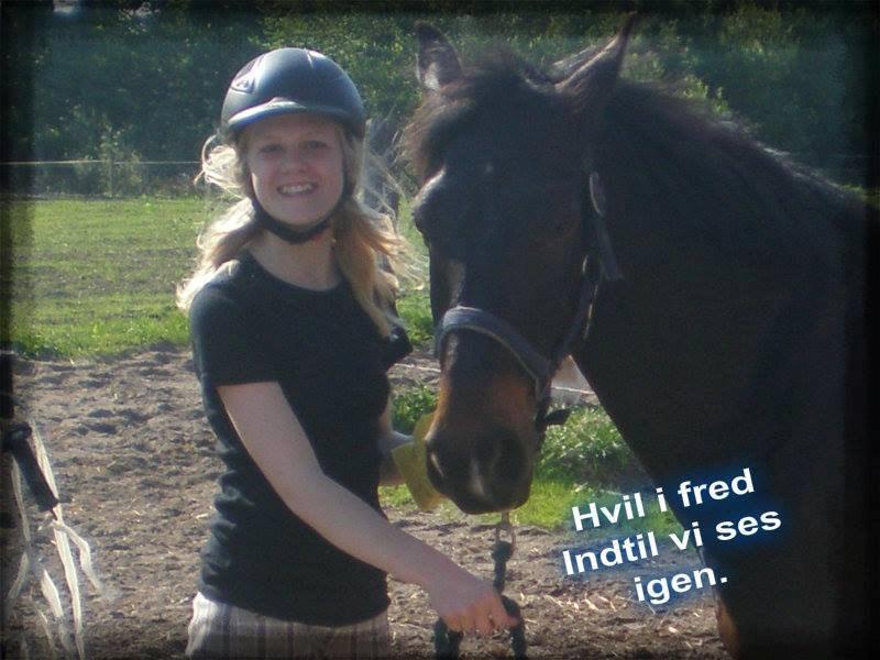 Anden særlig race Zafir  † - Hvil i fred indtil vi ses igen :´-) <3  billede 15