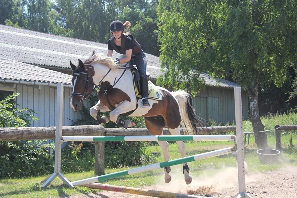 Pinto Lady Kanti - Dygtige ko på Mønstergårdens ridelejr 2013 billede 15