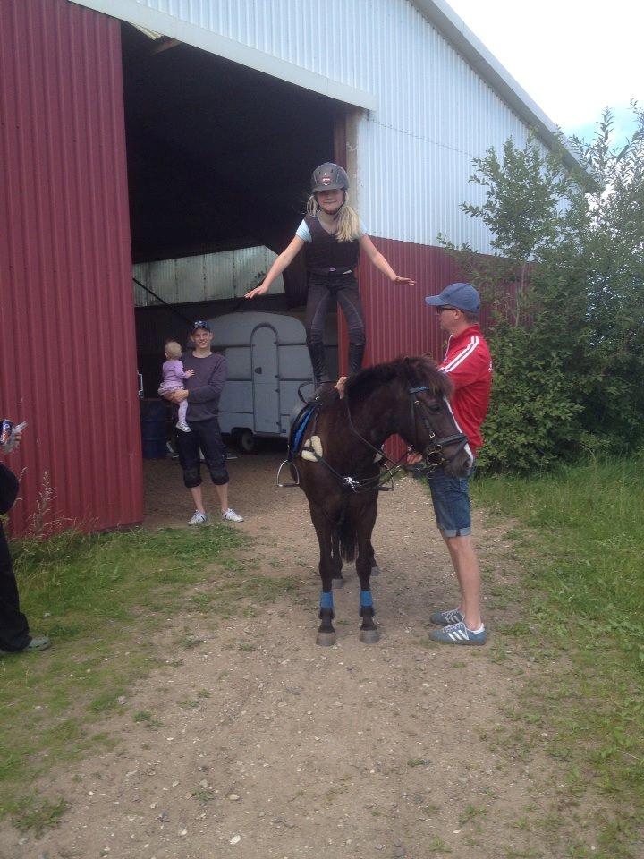 Anden særlig race Cirkeline billede 5