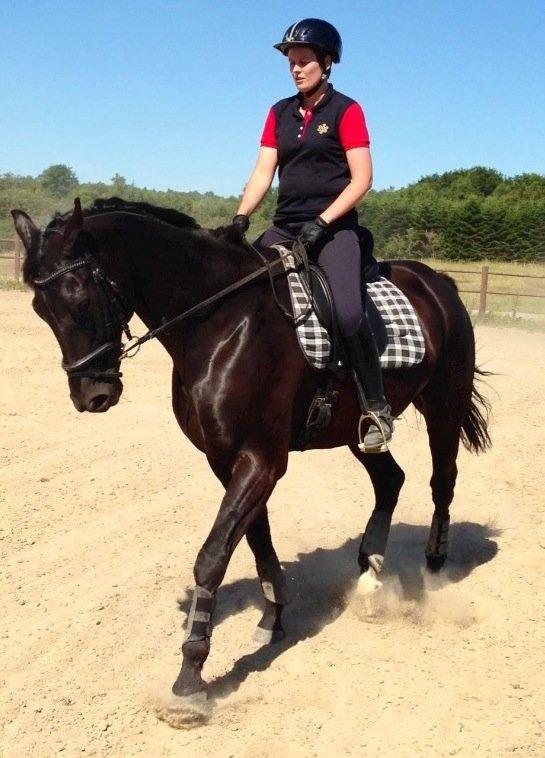 Dansk Varmblod ERA Don Pedro - Puha hårdt at komme igang igen billede 21