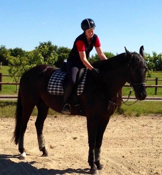 Dansk Varmblod ERA Don Pedro - Endelig færdig tænker Pedro billede 22