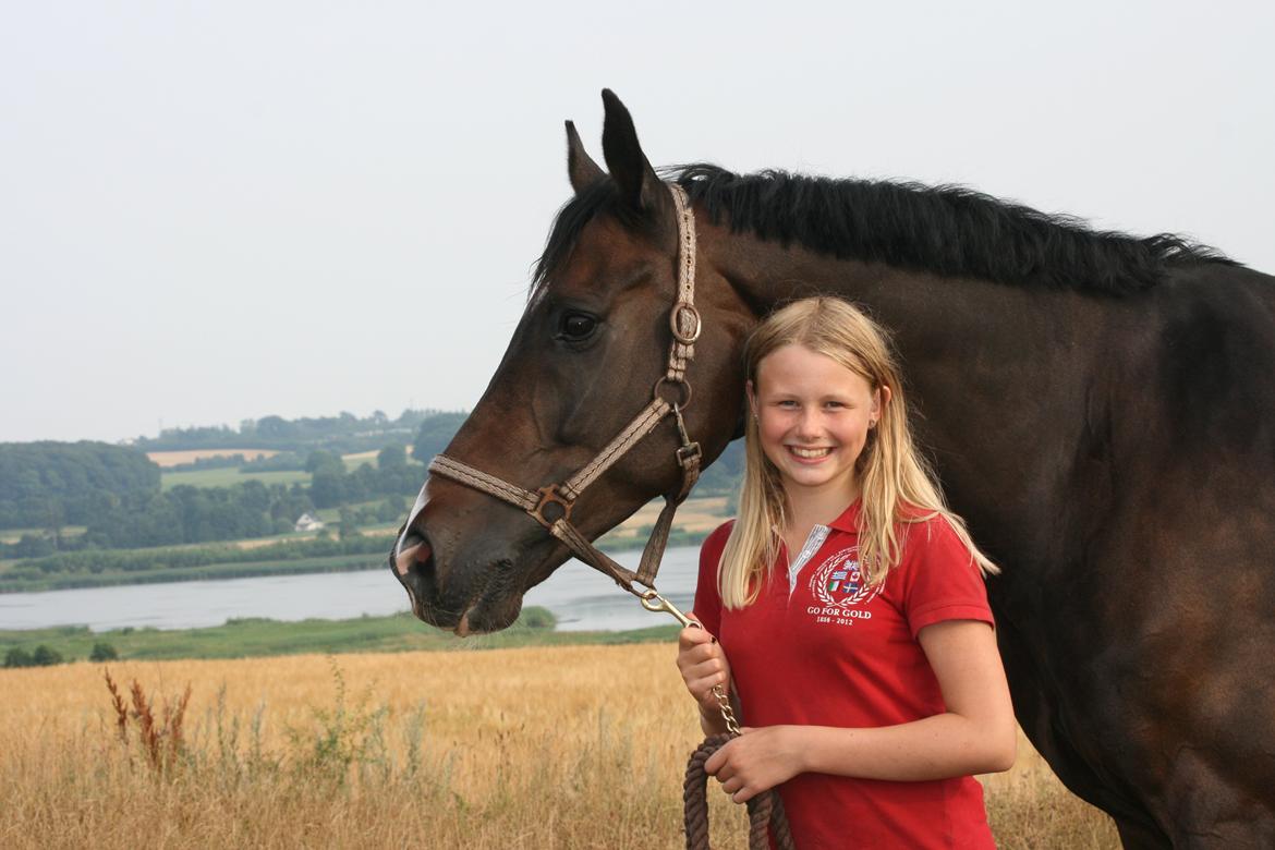 Dansk Varmblod Don Carif (Følle) billede 15