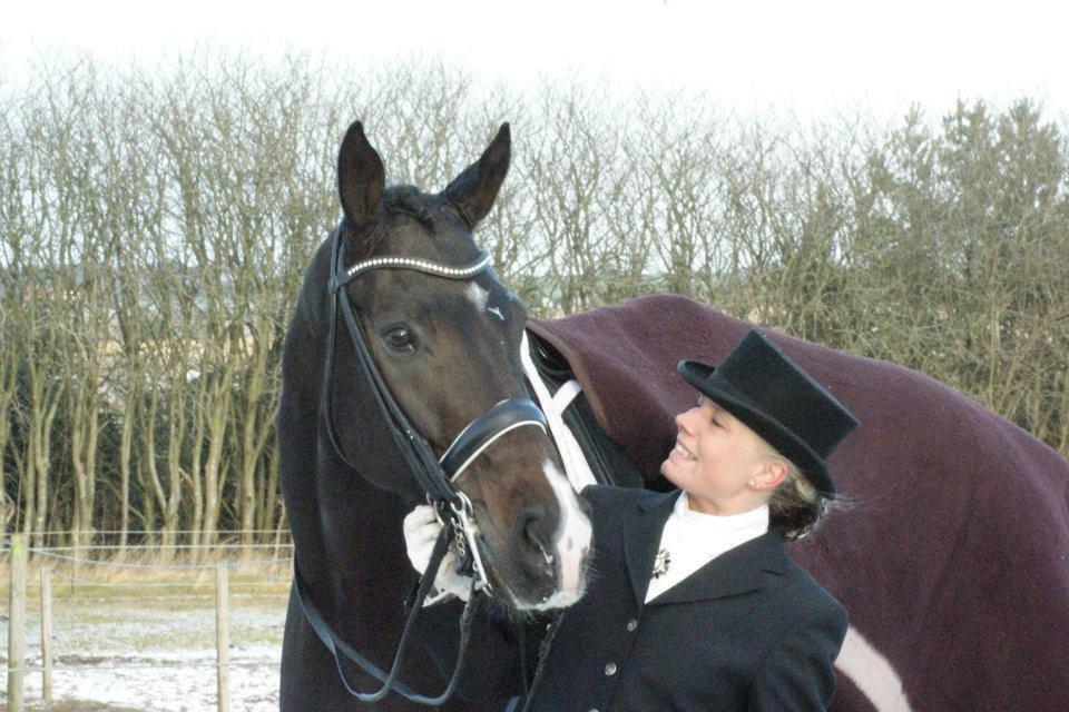 Dansk Varmblod Don Carif (Følle) billede 10