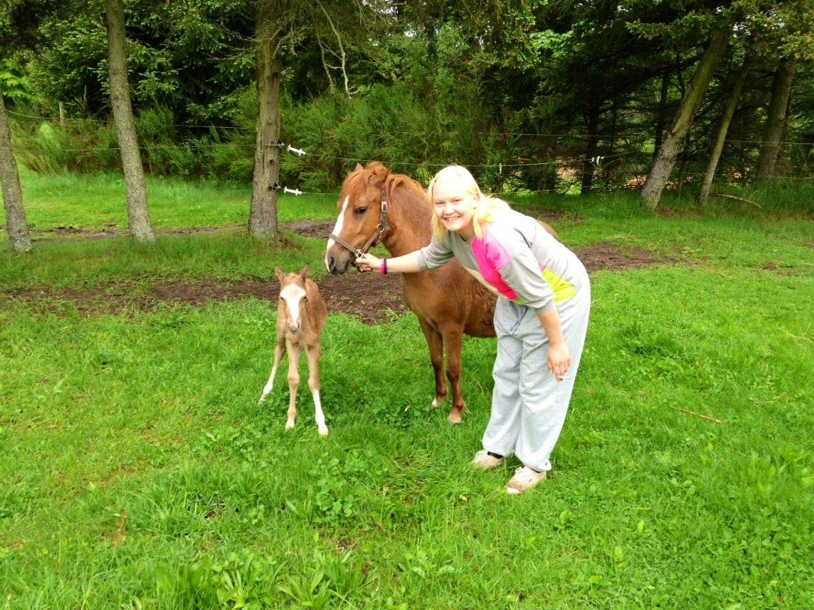 Anden særlig race Stald østergaard's spidi billede 1