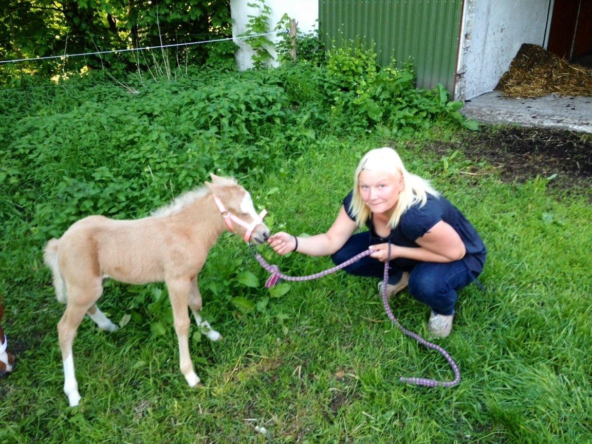 Anden særlig race Stald østergaard's spidi billede 5