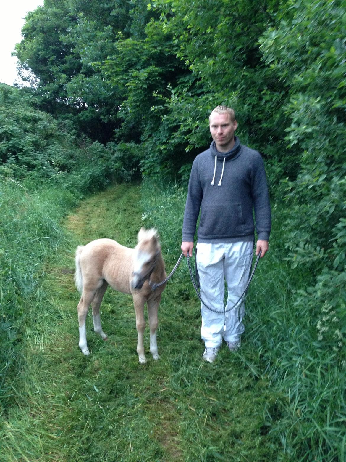 Anden særlig race Stald østergaard's spidi billede 9